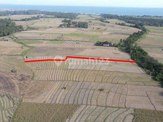 Cheap Land in Tegalmengkeb, Tabanan near Kelecung Beach 1