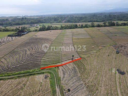 Cheap Land in Tegalmengkeb, Tabanan near Kelecung Beach 2