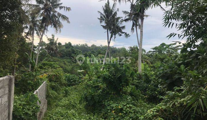 strategic land vew juggle comfortable environment in the Ubud area 1