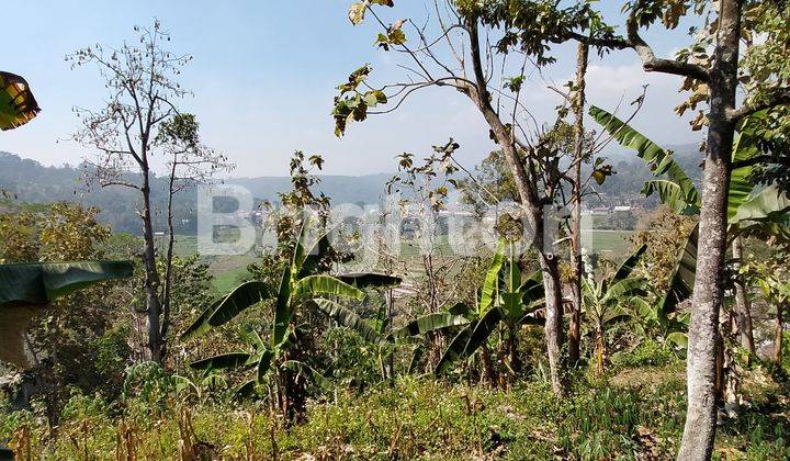 TANAH DI JL RAYA DUYUNG TRAWAS HILL MOJOKERTO VIEW BAGUS DAN ADA KEBUN DURIAN 1