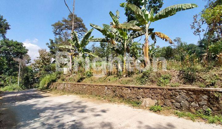 TANAH DI JL RAYA DUYUNG TRAWAS HILL MOJOKERTO VIEW BAGUS DAN ADA KEBUN DURIAN 2