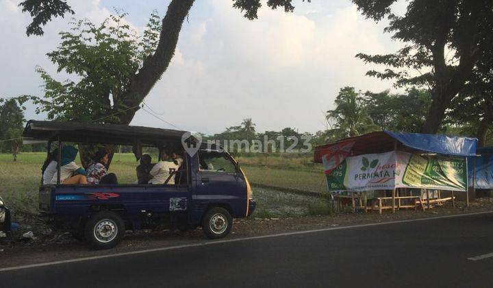 Tanah Strategis Di Jalan Raya Subang Jawa Barat Kawasan Industri Dekat Jalan Tol Cocok Untuk Pabrik Dan Gudang 1