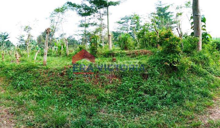 Tanah Luas 8000an, Harga 600rb m2, 2 Mnt Ke Wisata Kebun Pak Budi 1