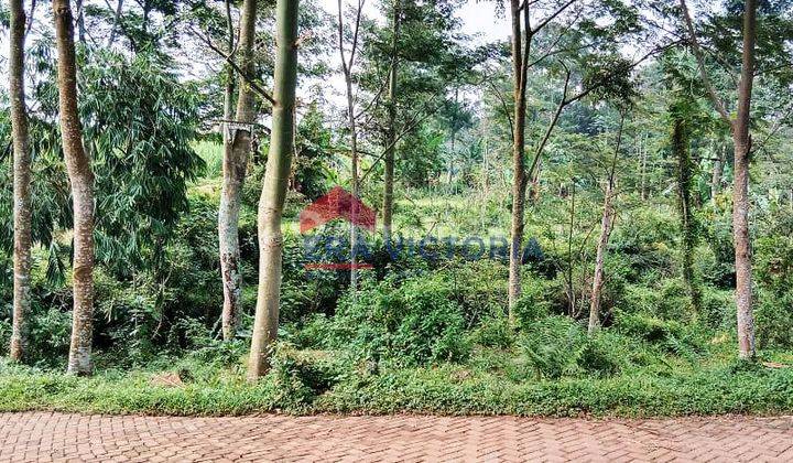 Tanah Luas 8000an, Harga 600rb m2, 2 Mnt Ke Wisata Kebun Pak Budi 2