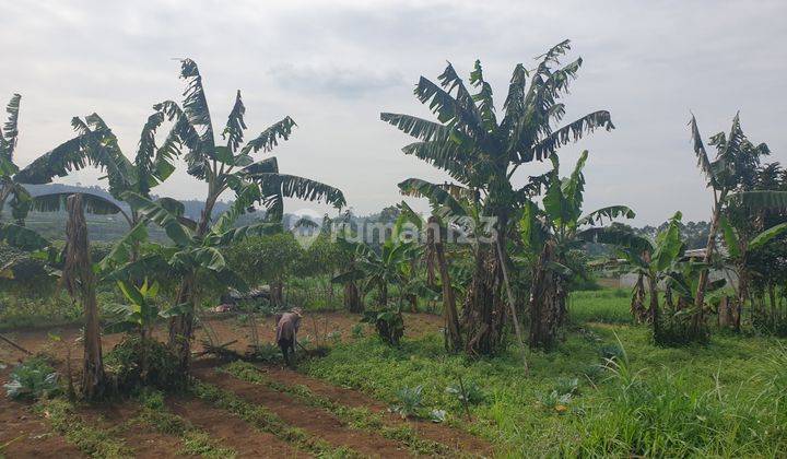 Tanah jl sersan bajuri cihideung. Lokasi mainroad. Dekat dengan lembang dan jalan utama setiabudi.  1