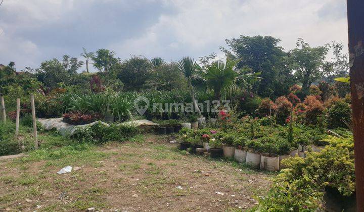 Tanah jl sersan bajuri cihideung. Lokasi mainroad. Dekat dengan lembang dan jalan utama setiabudi.  2