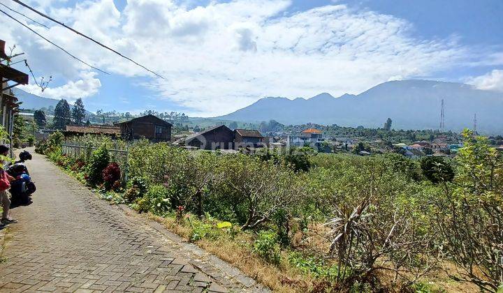 Dijual kebun apel produktif murah luas akses mobil di batu  1