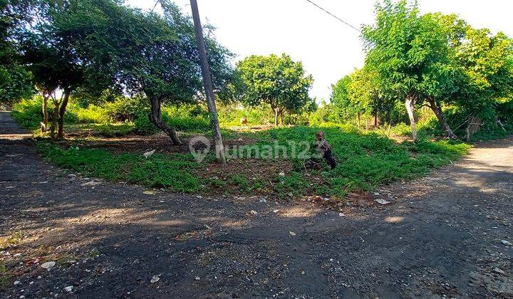 Strategic Land for Lease in Ungasan (PD) 1