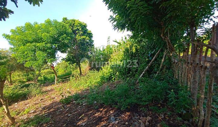 Strategic Land for Lease in Ungasan (PD) 2