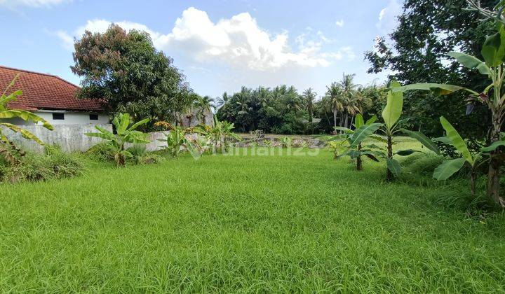 Land in Kedungu with rice field view 15 minutes from Canggu Bali 2