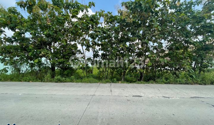 Tanah siap bangun kawasan gudang kartasura solo Tanah siap bangun kawasan gudang kartasura solo