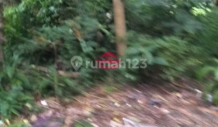 Land for Sale Location Singakerta