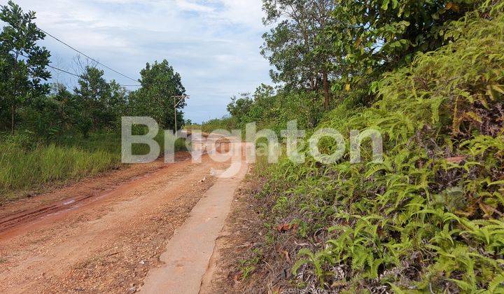 LAHAN BERSERTIFIKAT VIEW PERBUKITAN DI SEPINGGAN 2