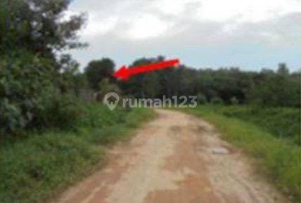 Tanah Jl.kaliasin Dalam,singkawang Selatan 35.000 m² Harga Rp 2,52 M nego  2