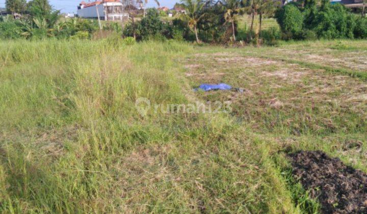 Tanah dekat pantai lima pererenan paling murah 1