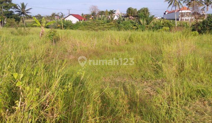 Tanah dekat pantai lima pererenan paling murah 2