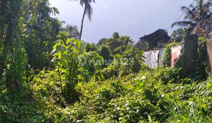 Tanah paling murah di jalan raya pengosekan ubud 1