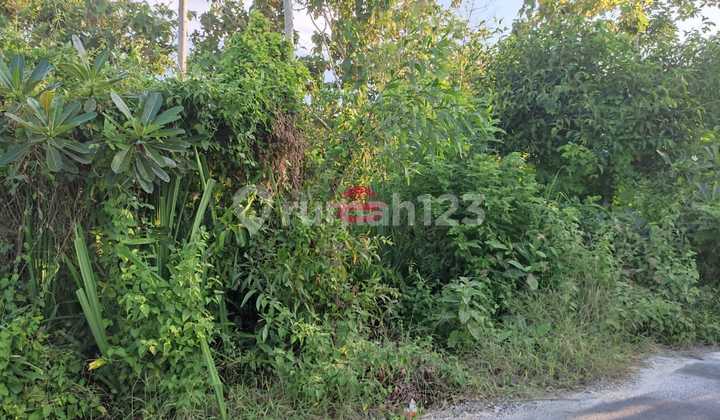 Tanah Jual Lokasi Pecatu