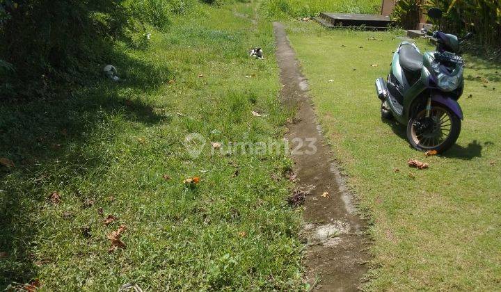 Tanah besar view keren di ubud cocok villa / kavling 1