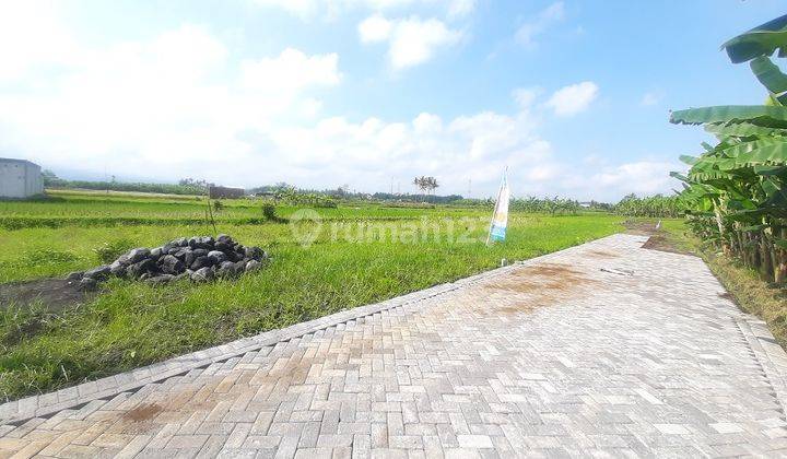 Promo Tanah Kavling Murah Sumberpasir Pakis Malang Siap Bangun 2