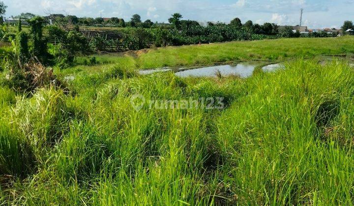 Tanah view sawah cantik cocok untuk villa ke pantai dekat 1