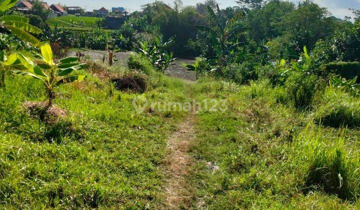 Tanah view sawah cantik cocok untuk villa ke pantai dekat 2