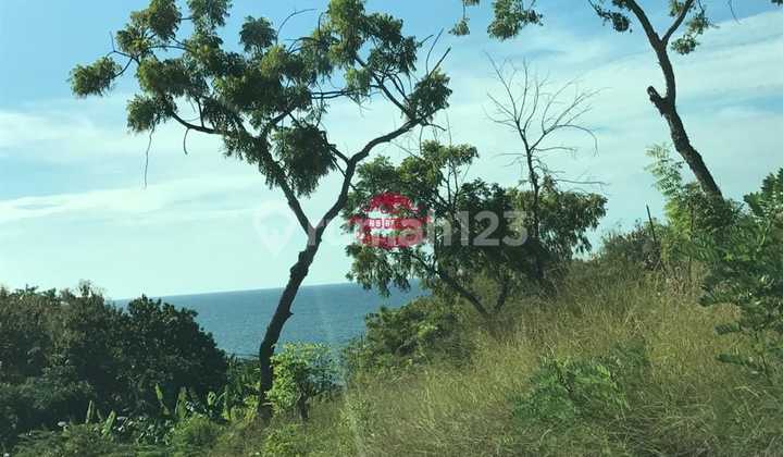 Land for Sale Location Pacung