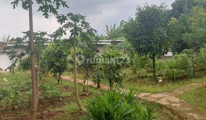  Tanah luas 6rb m2, rumah, kebun dan kolam di Tapos depok 2