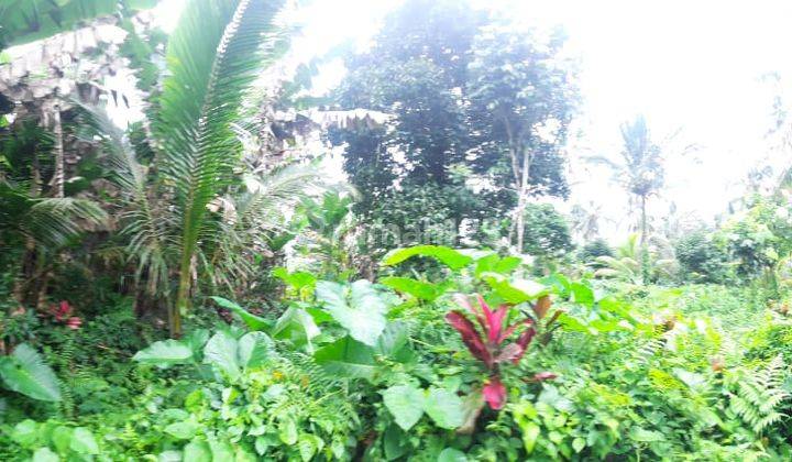 For sale 1000 M2 of land in Jegu Penebel Village, Tabanan 2