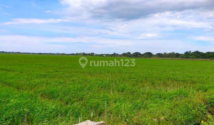 Lokasi Cocok untuk gudang atau industri terletak di jl raya 1