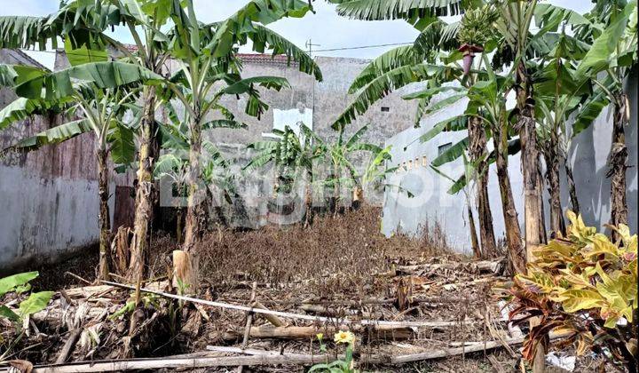 Tanah Sulfat Padat Penduduk di Pusat Kota Malang 1