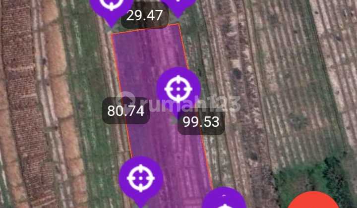 Tanah Jual Lokasi Pasut