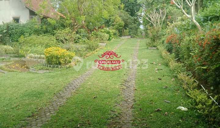 Tanah Jual Lokasi Tegallalang