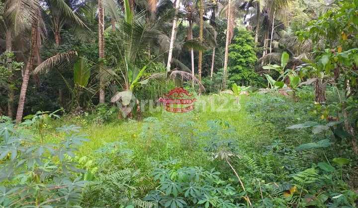 Tanah Jual Lokasi Pejeng