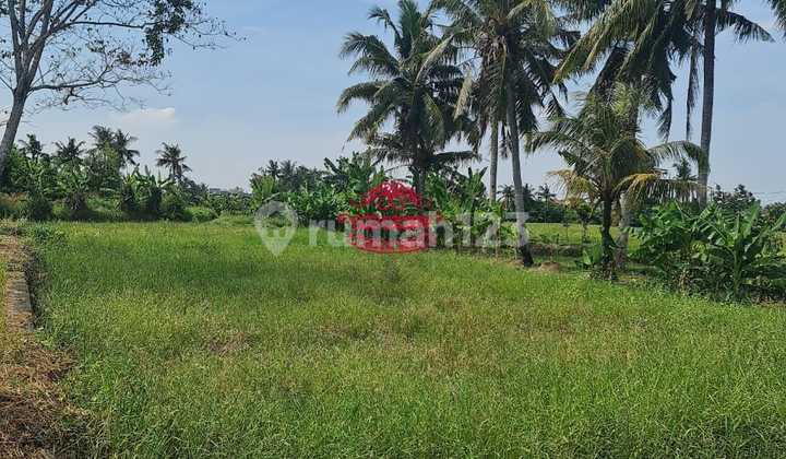 Tanah Jual Lokasi Seseh Tanah Jual Lokasi Seseh