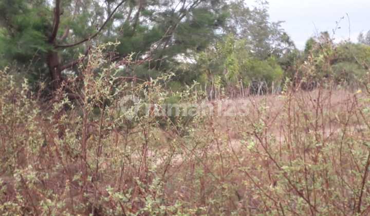 26.8 HECTARE BEACHFRONT LAND IN EAST SUMBA - EAST NUSA TENGGARA 26.8 HECTARE BEACHFRONT LAND IN EAST SUMBA - EAST NUSA TENGGARA