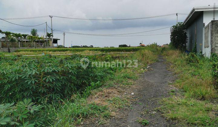 Land for sale freehold view padi and River side 1