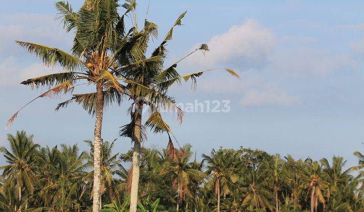 Tanah dengan pemandangan sawah di kemenuh- gianyar-bali 1