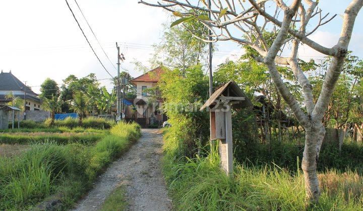 Tanah dengan pemandangan sawah di kemenuh- gianyar-bali 2