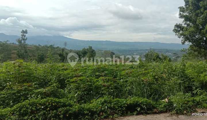 Tanah Puncak 2 Hambalang Bogor