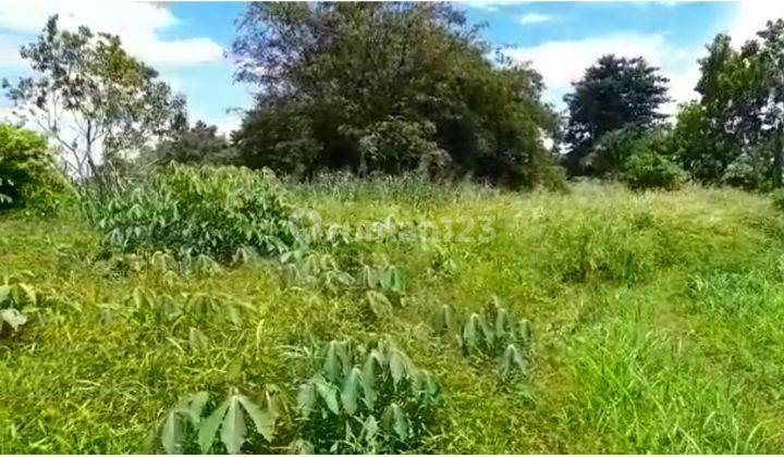 Tanah Kosong Siap Bangun Lokasi Bagus Untuk Town House 2