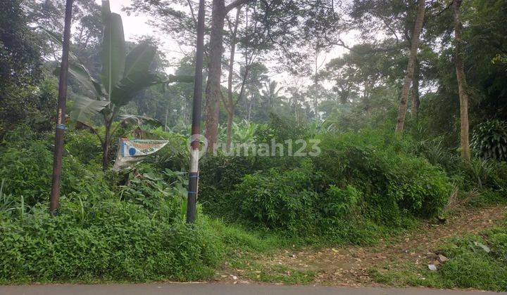 Tanah murah nempel jalan Raya lokasi sangat strategis dicigombong  2