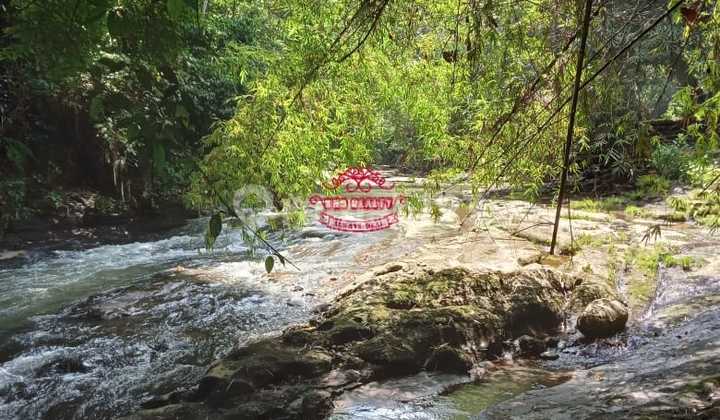 Tanah Jual Lokasi Nyambu