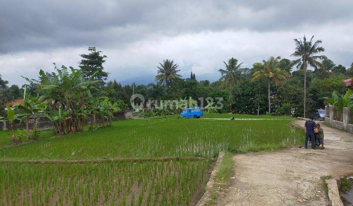 Tanah sawah plus villa murah sangat strategis banget dicaringin  1