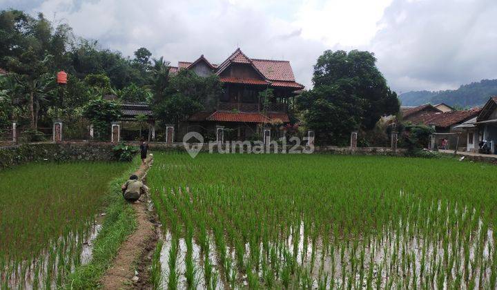 Tanah sawah plus villa murah sangat strategis banget dicaringin  2