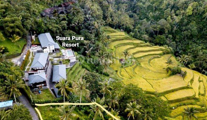 Tanah siap bangun villa dengan view 360° sawah terasering  2