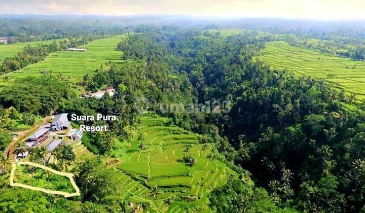 Tanah siap bangun villa dengan view 360° sawah terasering  1