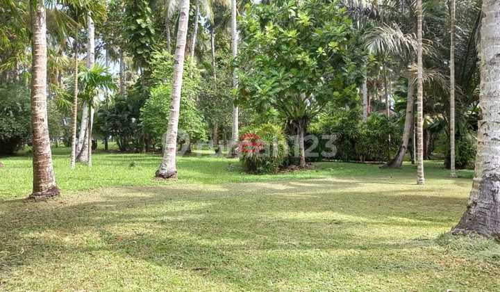 Tanah Jual Lokasi Pekutatan Tanah Jual Lokasi Pekutatan