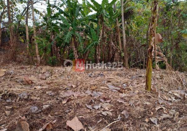 Kavling bagus di jangli tlawah 1