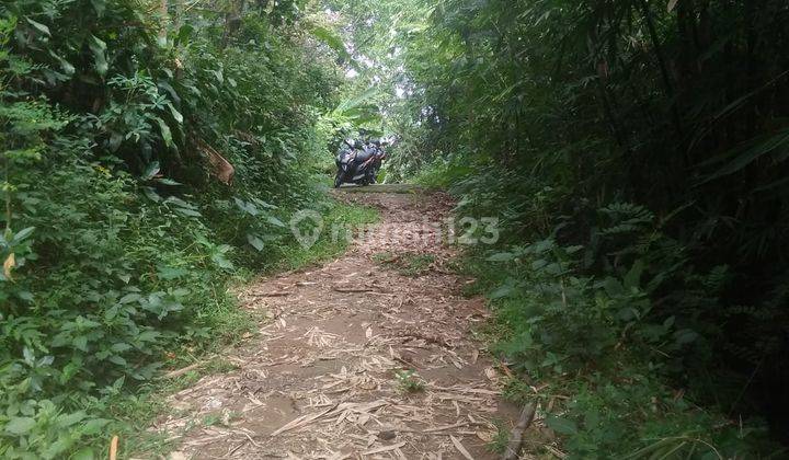  Kebun Durian 626m2 Akses Mobil Matesih  2